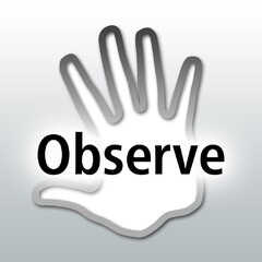 Observe