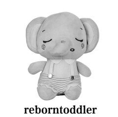 reborntoddler