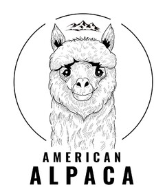 AMERICAN ALPACA