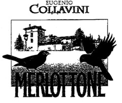 MERLOTTONE EUGENIO COLLAVINI