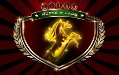 ZITRO HORSE RACE