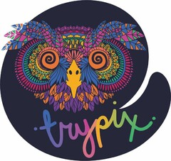 TRYPIX