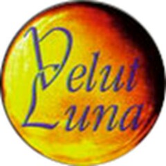 VELUT LUNA