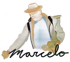 Marcelo