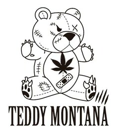 TEDDY MONTANA