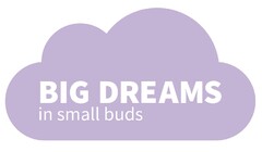 BIG DREAMS in small buds