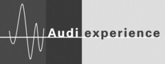 Audi experience