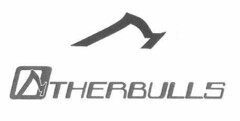 OTHERBULLS