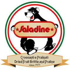 Saladine Croccanti e Pralinati Dried Fruit Brittle and Praline since 1975