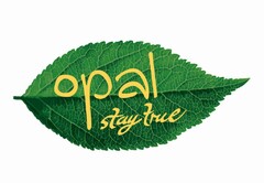 opal stay true