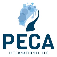 PECA INTERNATIONAL LLC