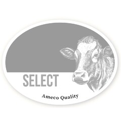 SELECT Ameco Quality