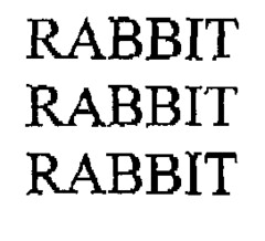 RABBIT RABBIT RABBIT