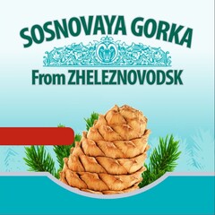 SOSNOVAYA GORKA From ZHELEZNOVODSK