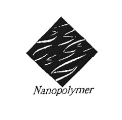 Nanopolymer