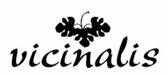 vicinalis