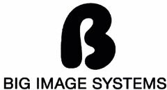 BIG IMAGE SYSTEMS
