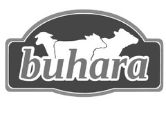 buhara