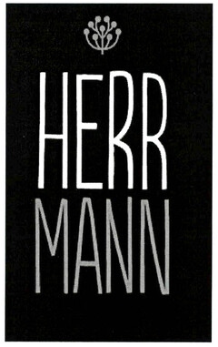 HERR MANN