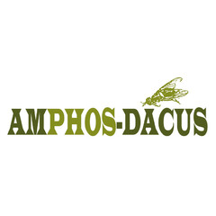 AMPHOS-DACUS