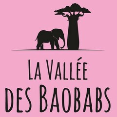 La Vallée des Baobabs