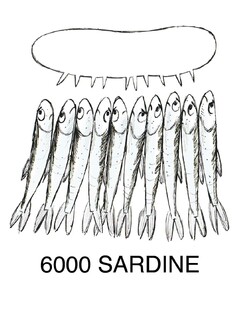 6000 SARDINE