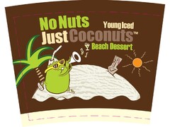 No Nuts Young Iced Just Coconuts Beach dessert