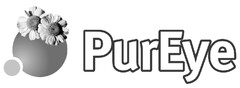 PurEye