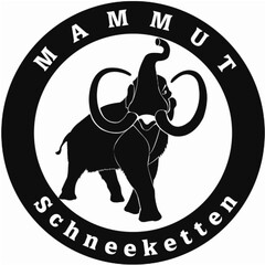 MAMMUT Schneeketten