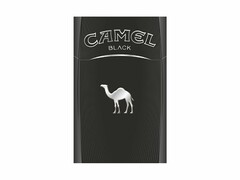 CAMEL BLACK