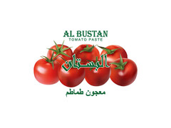 AL BUSTAN TOMATO PASTE