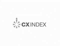 CX INDEX