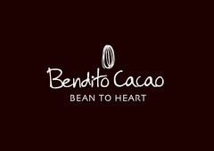 BENDITO CACAO BEAN TO HEART