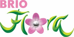 BRIO Flora