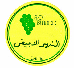 RIO BLANCO CHILE