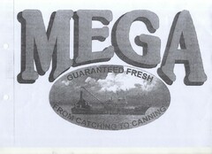 MEGA GUARANTEED FRESH FROM CATCHING TO CANNING