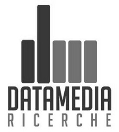 DATAMEDIA RICERCHE