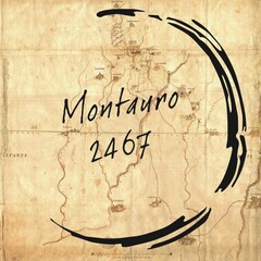 MONTAURO 2467