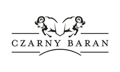 CZARNY BARAN