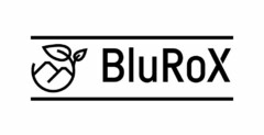 BluRoX