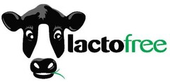 lactofree