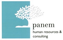 panem human resources & consulting