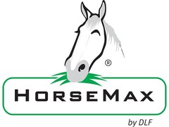 Horsemax by DLF