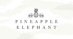 PINEAPPLE ELEPHANT