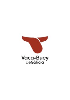 VACA Y BUEY DE GALICIA
