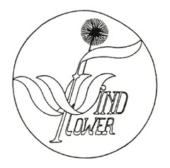 WIND FLOWER