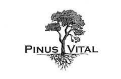 PINUS VITAL