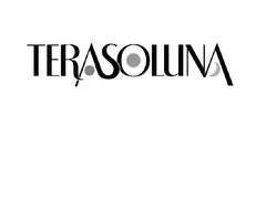 TERASOLUNA