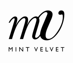 MV MINT VELVET