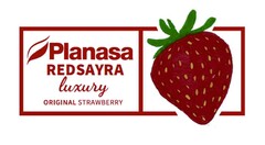 Planasa REDSAYRA luxury ORIGINAL STRAWBERRY